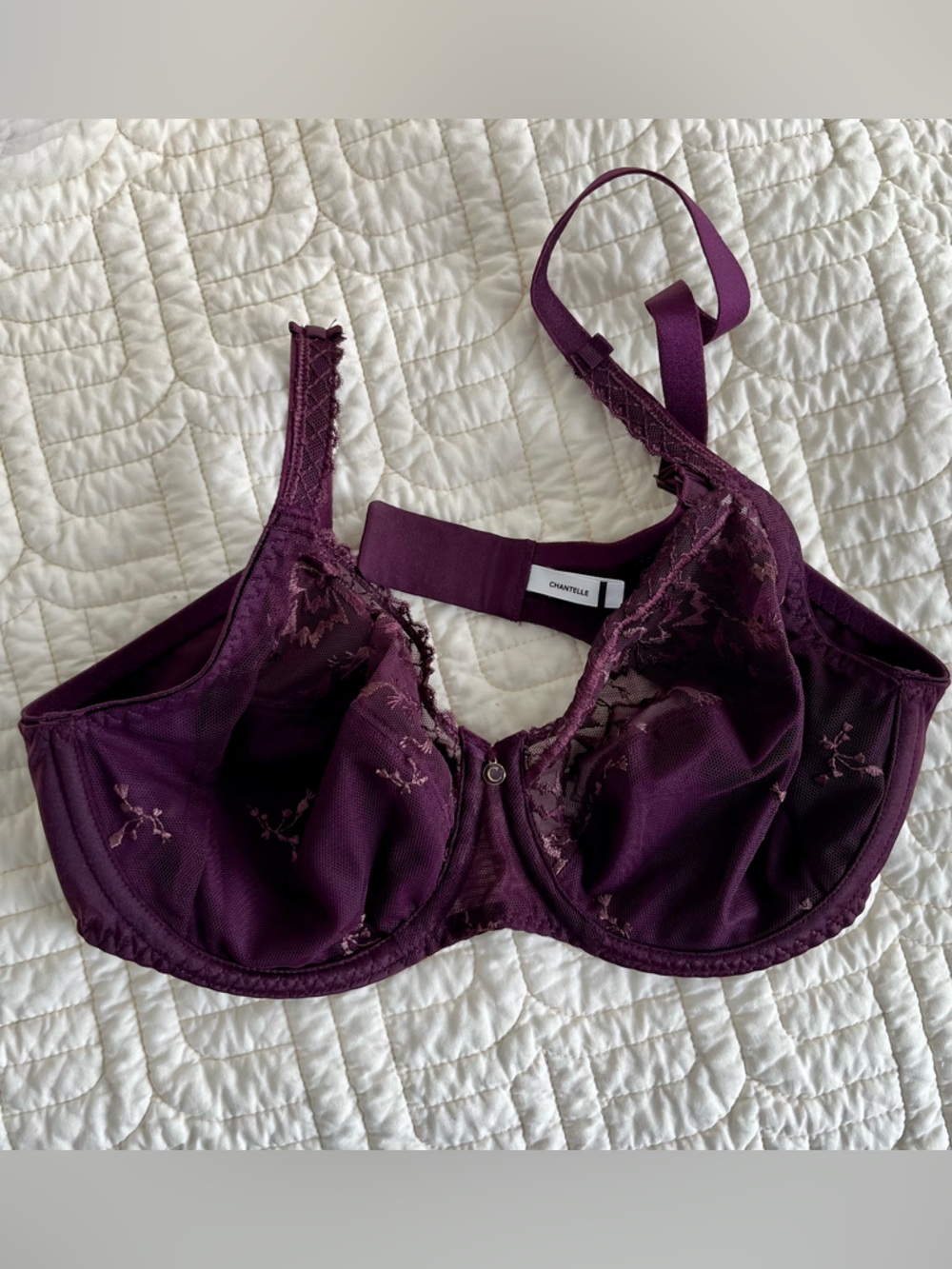 Chantelle 34C Deep Plum Lace Underwire Bra
